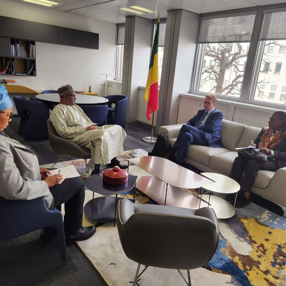 Rencontre entre son Excellence l'Ambassadeur Tounkara et M. de Villeroches 